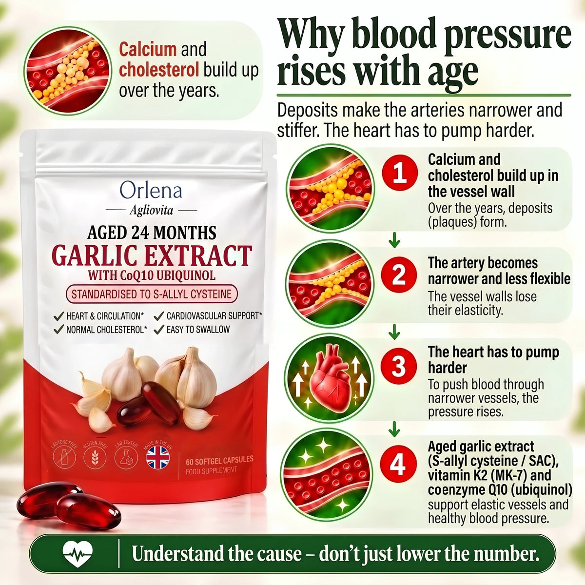 orlena-agliovita-aged-garlic-extract-24-months-with-coq10-vitamin-k2